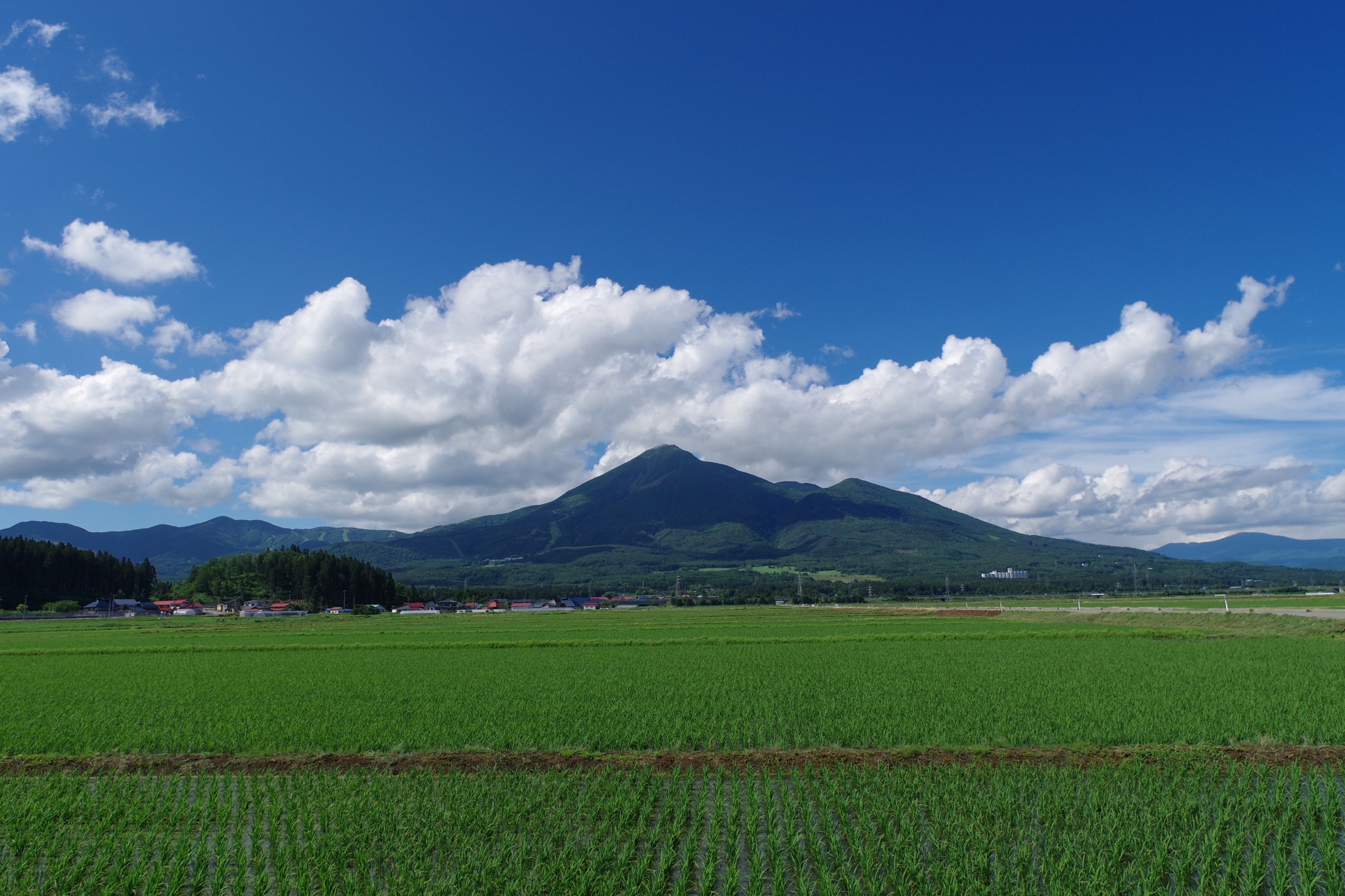 協同の歴史の瞬間