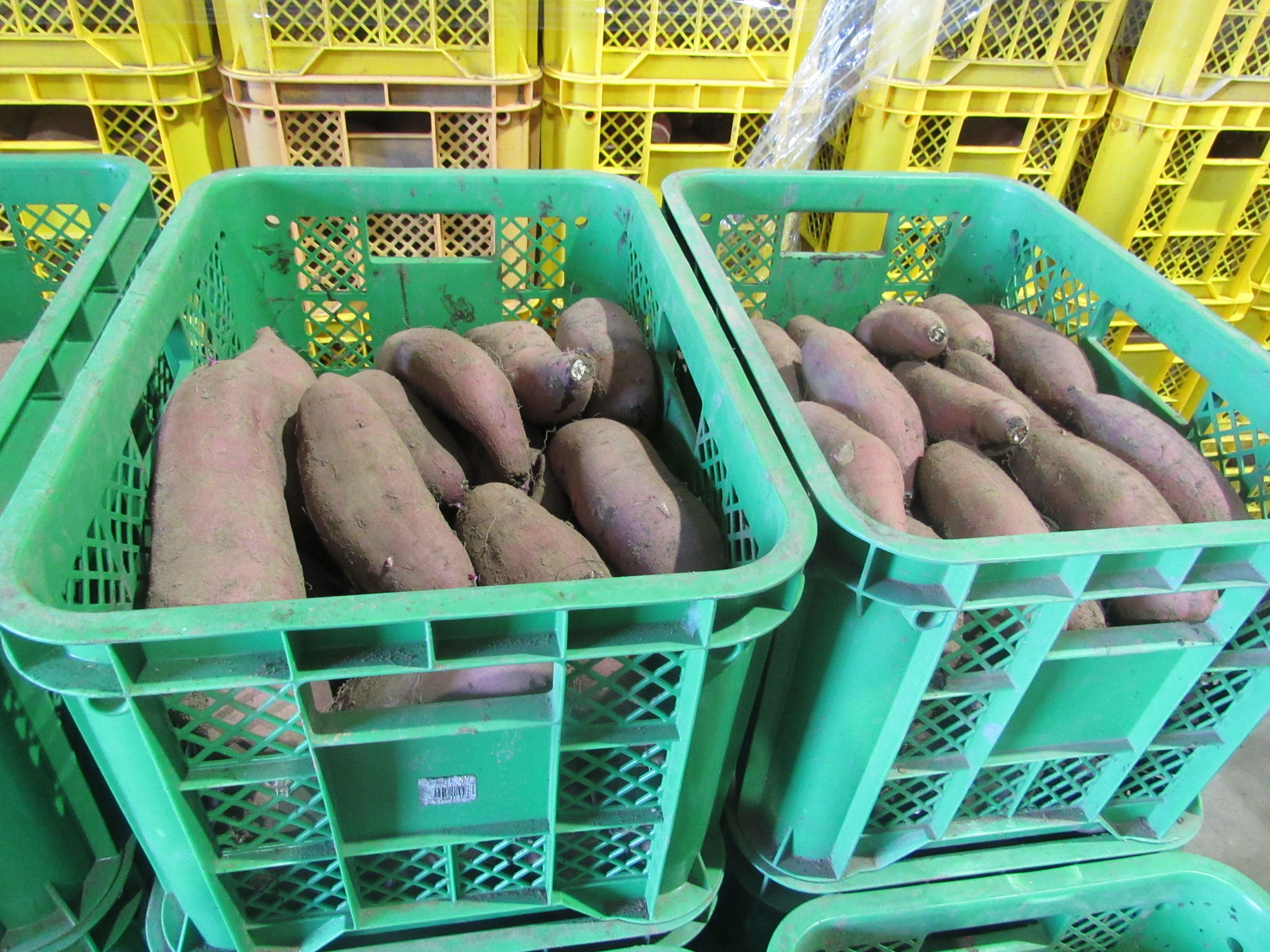 農業・食料ほんとうの話