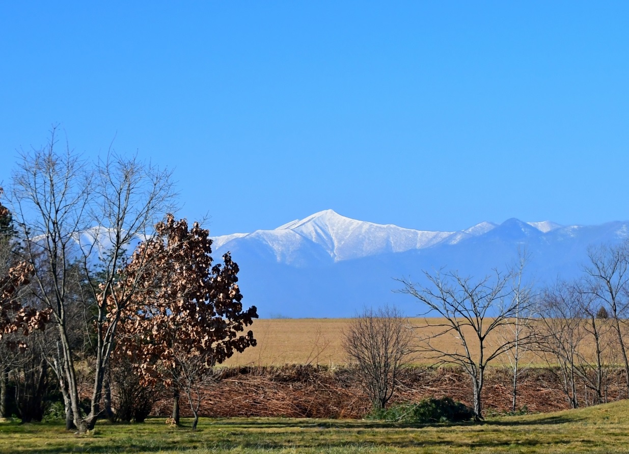 【協同の歴史の瞬間】
1950（昭和25）年12月　農協振興刷新運動始まる
1951（昭和26）年６月　 農林漁業組合再建整備法成立
1953（昭和28）年８月　農林漁業組合連合会整備促進法成立