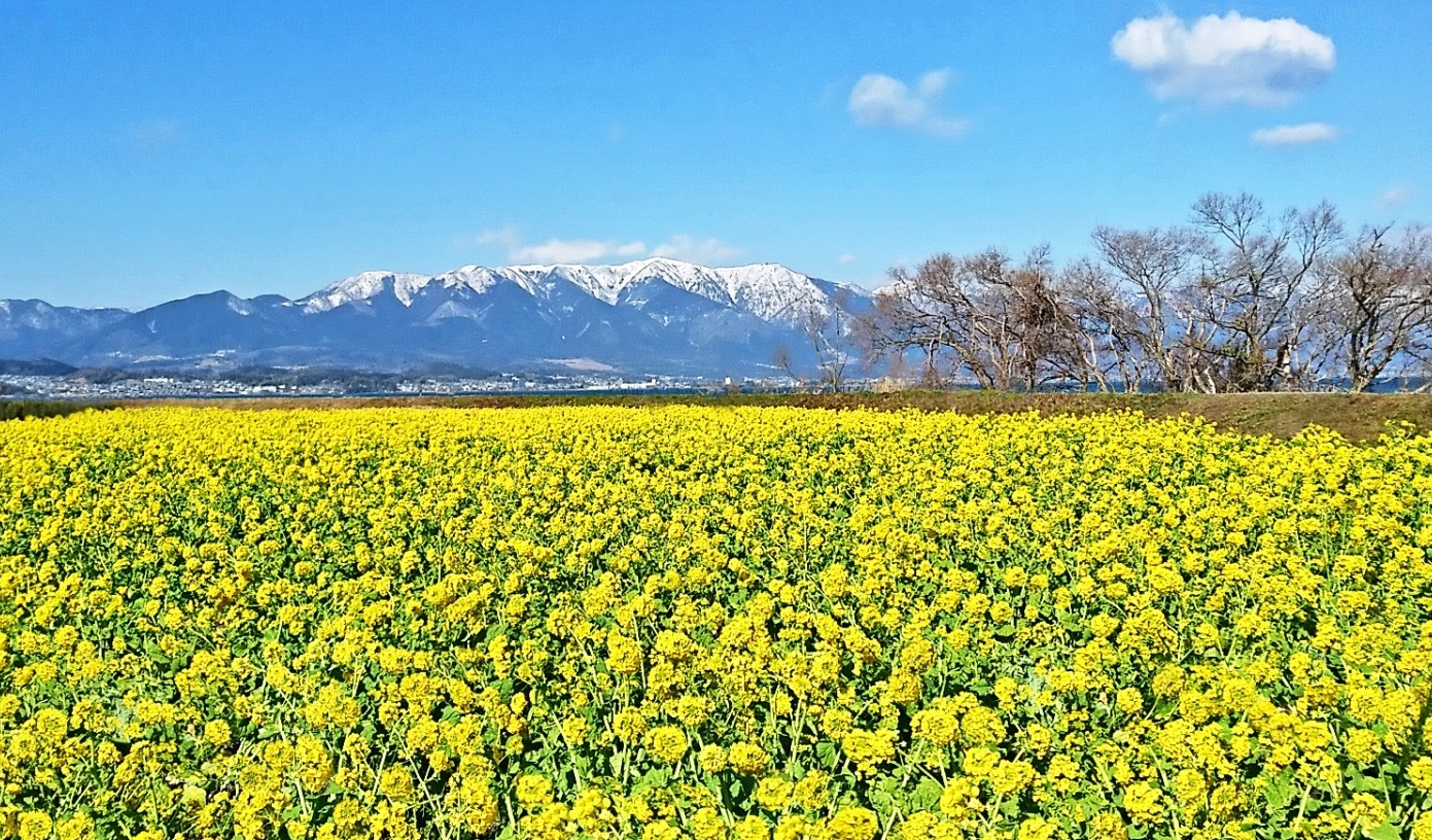 【協同の歴史の瞬間】