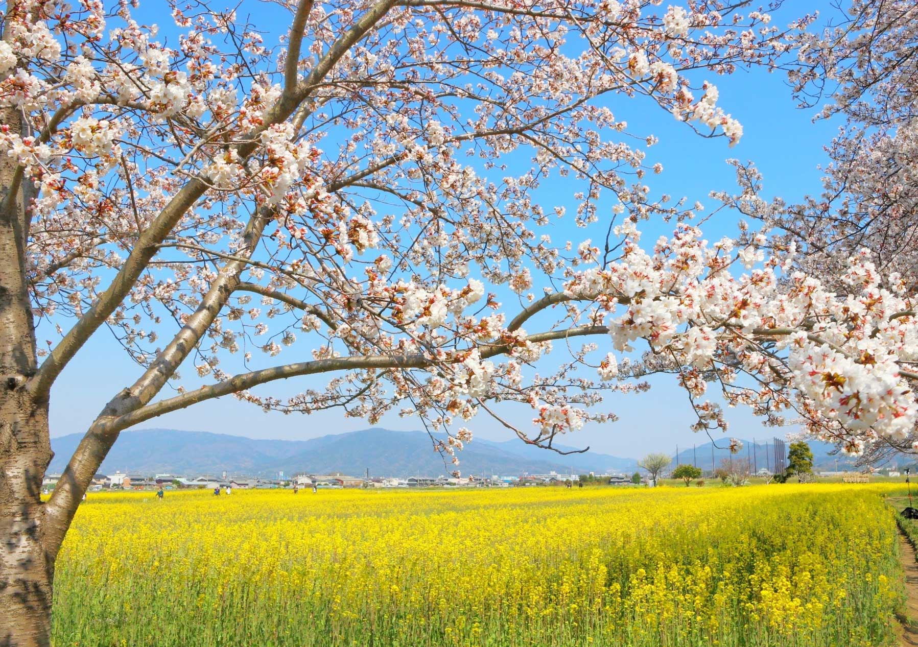 【協同の歴史の瞬間】