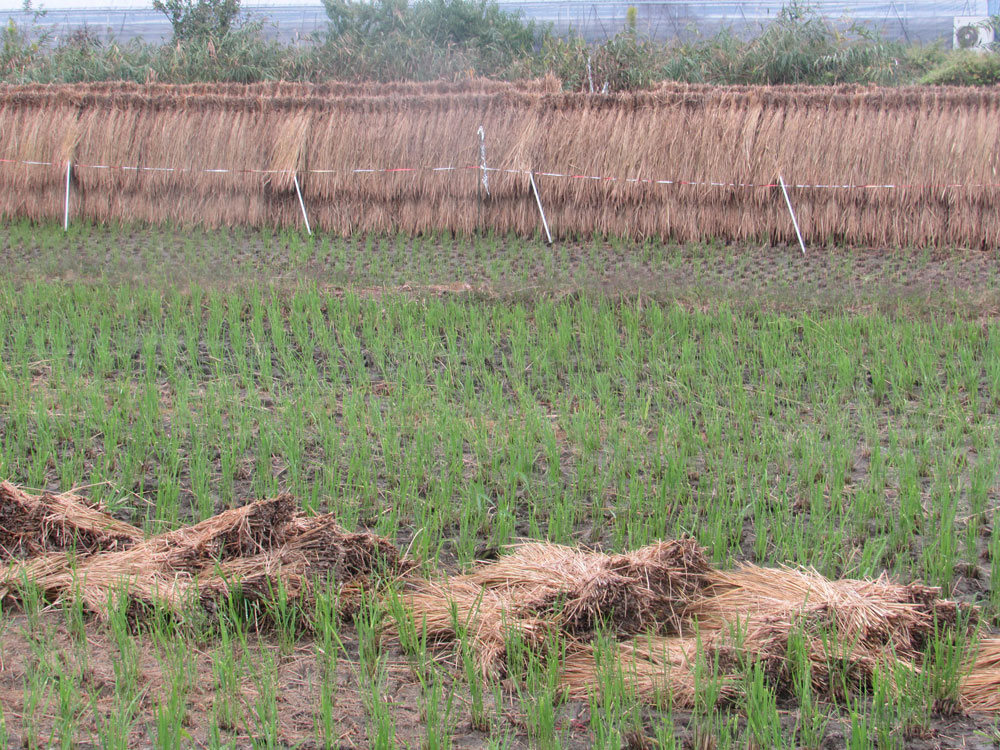 農業・食料ほんとうの話