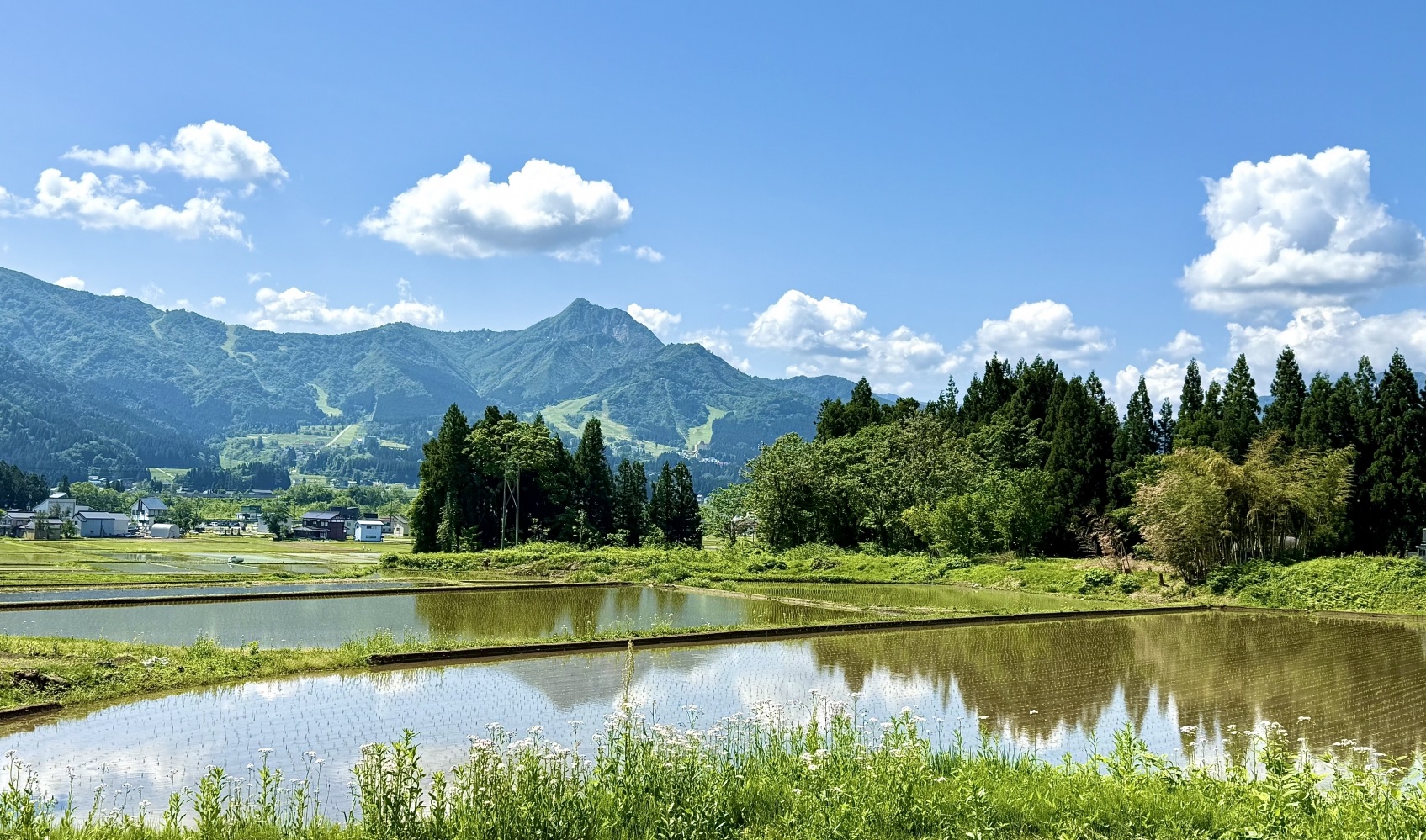 協同の歴史の瞬間