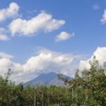 【協同の歴史の瞬間】<br> 賀川豊彦の「乳と蜜の流るゝ郷」（その１９）<br> １９３５（昭和１０）年１０月号　　東助、江東消費組合の仕入れ部職員として働きだす<br> 盲目の鈴子の目が開く<br> 東北・北海道の農業・産業組合の先進事例を学ぶ<br> 監修／堀越芳昭　山梨学院大学　元教授