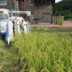 農業・食料ほんとうの話〔第166回〕<br> 「盗人に追い銭」「鴨葱」外交の生贄にしてはならぬ農産物<br> 鈴木宣弘　東京大学大学院 特任教授