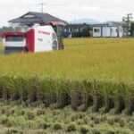 農業・食料ほんとうの話〔第171回〕<br> トランプ関税に脅されて　さらに高まる食の安全性のリスク<br> 鈴木宣弘　東京大学大学院 特任教授