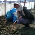 【提言】<br> 『家の光』にみるＪＡ女性組織の歩み～今後の組織活性化に向けて～<br> 酪農学園大学 准教授　増田祥世　