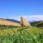 【協同の歴史の瞬間】<br>1949（昭和24）年12月15日<br>ＧＨＱ総司令官マッカーサー元帥<br>農業協同組合法施行２周年にさいして声明を出す<br>執筆／田中照良　元ＪＡ全中教育部