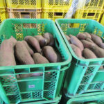 農業・食料ほんとうの話〔第173回〕<br>食料・農業・農村に対する意識と教育<br>鈴木宣弘　東京大学大学院 特任教授