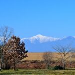 【協同の歴史の瞬間】<br>1950（昭和25）年12月　農協振興刷新運動始まる<br>1951（昭和26）年６月　農林漁業組合再建整備法成立<br>1953（昭和28）年８月　農林漁業組合連合会整備促進法成立<br>執筆／田中照良　元ＪＡ全中教育部